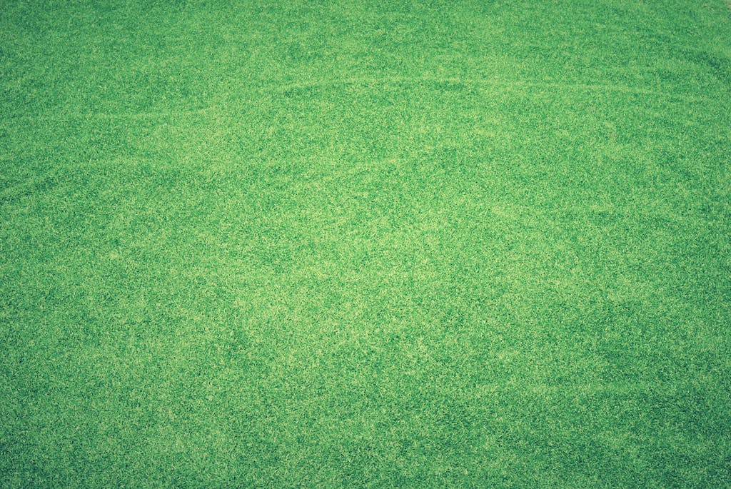 High-quality vibrant green grass texture perfect for backgrounds and digital use.